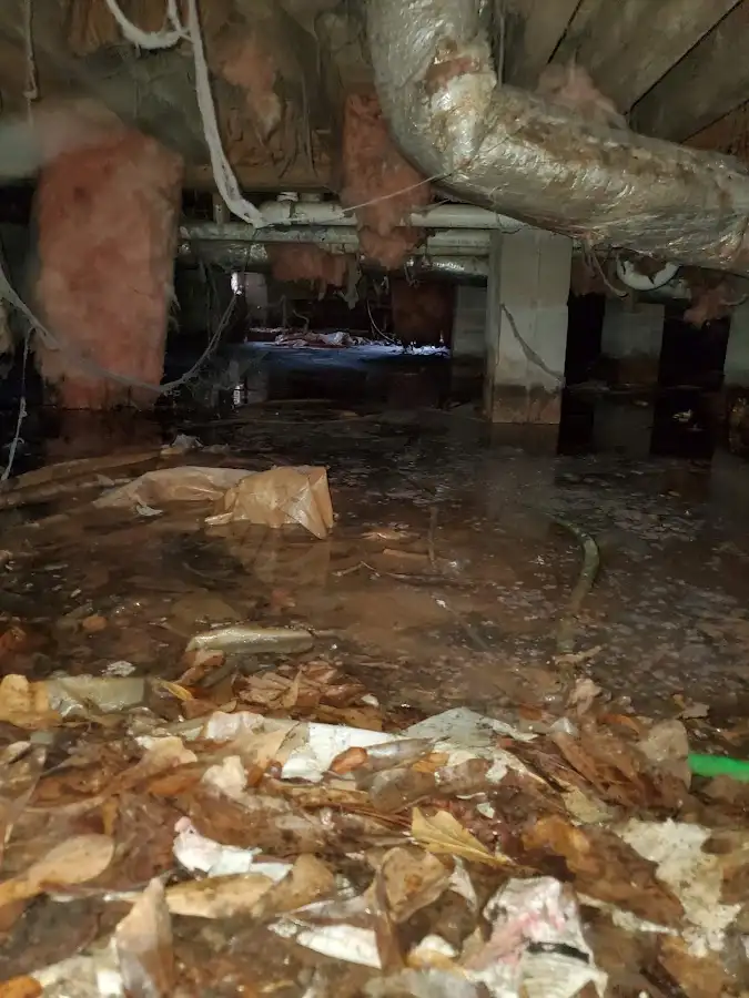 Crawl space flood assessment for Leak Detection & Repair in Mount Hope